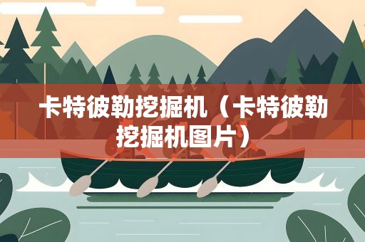卡特彼勒挖掘机（卡特彼勒挖掘机图片）