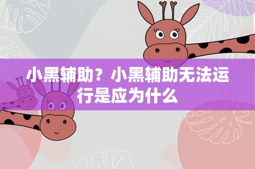 小黑辅助？小黑辅助无法运行是应为什么