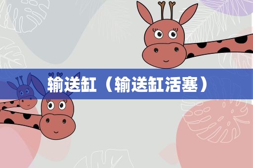 输送缸（输送缸活塞）