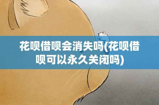花呗借呗会消失吗(花呗借呗可以永久关闭吗)