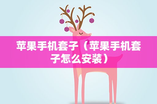 苹果手机套子（苹果手机套子怎么安装）