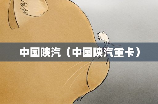 中国陕汽（中国陕汽重卡）