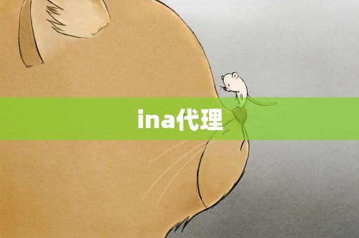 ina代理