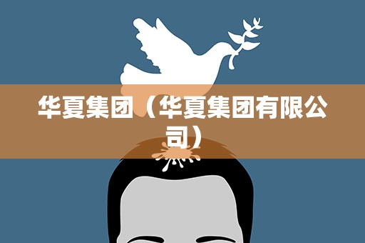 华夏集团（华夏集团有限公司）