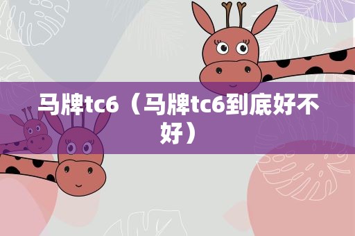 马牌tc6（马牌tc6到底好不好）