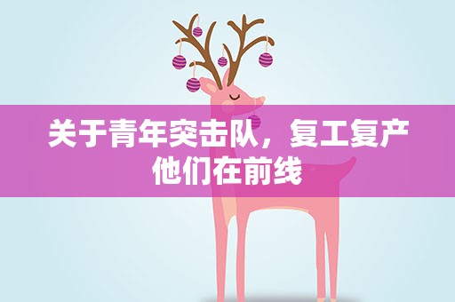 关于青年突击队，复工复产他们在前线