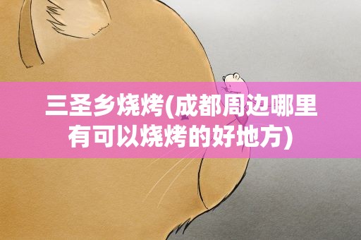 三圣乡烧烤(成都周边哪里有可以烧烤的好地方)