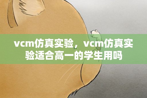 vcm仿真实验，vcm仿真实验适合高一的学生用吗