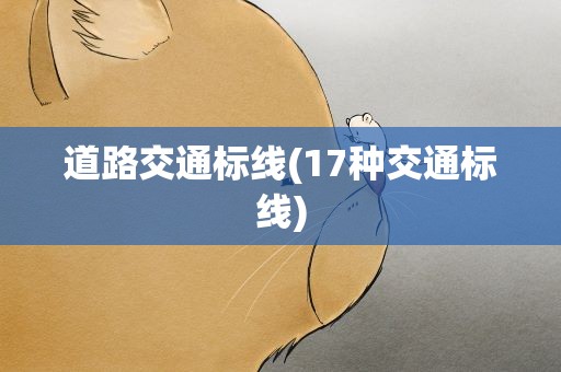 道路交通标线(17种交通标线)