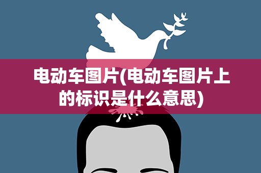 电动车图片(电动车图片上的标识是什么意思)