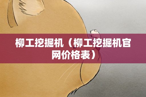 柳工挖掘机（柳工挖掘机官网价格表）