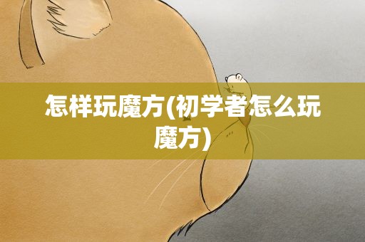 怎样玩魔方(初学者怎么玩魔方)