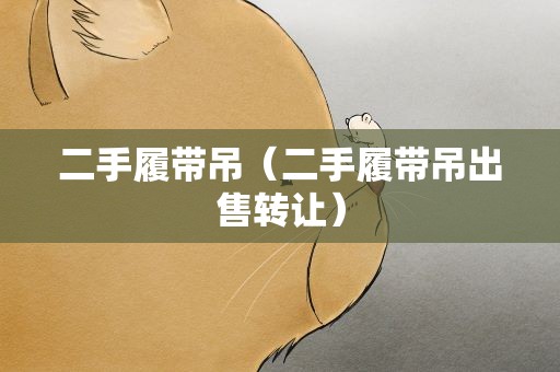 二手履带吊（二手履带吊出售转让）