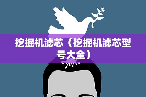 挖掘机滤芯（挖掘机滤芯型号大全）
