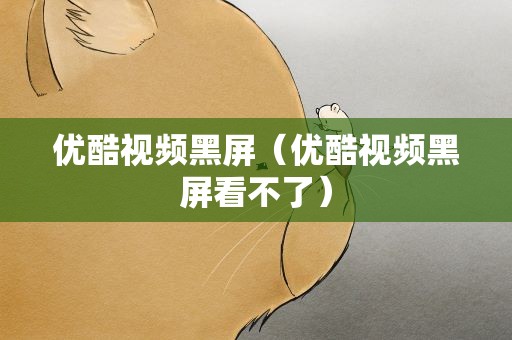 优酷视频黑屏（优酷视频黑屏看不了）