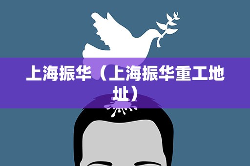 上海振华（上海振华重工地址）
