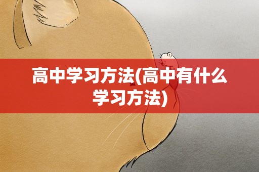 高中学习方法(高中有什么学习方法)
