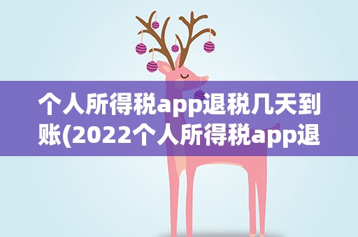 个人所得税app退税几天到账(2022个人所得税app退税几天到账)