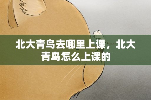 北大青鸟去哪里上课，北大青鸟怎么上课的
