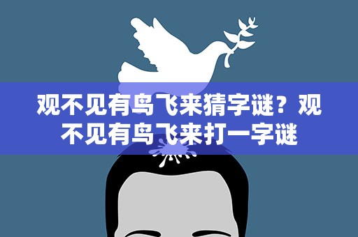 观不见有鸟飞来猜字谜？观不见有鸟飞来打一字谜