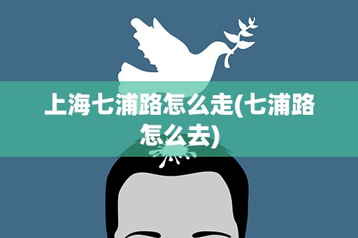 上海七浦路怎么走(七浦路怎么去)