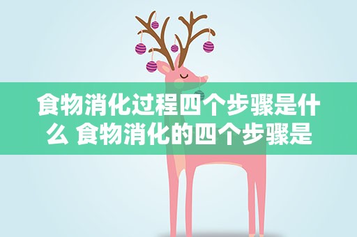 食物消化过程四个步骤是什么 食物消化的四个步骤是什么
