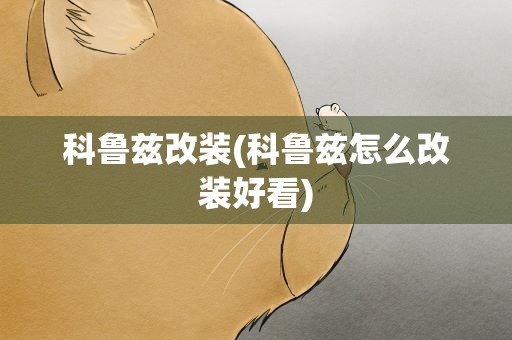 科鲁兹改装(科鲁兹怎么改装好看)