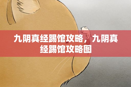 九阴真经踢馆攻略，九阴真经踢馆攻略图