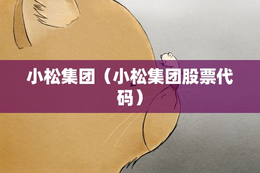 小松集团（小松集团股票代码）