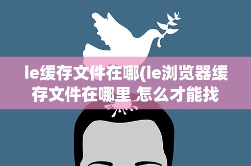 ie缓存文件在哪(ie浏览器缓存文件在哪里 怎么才能找到)