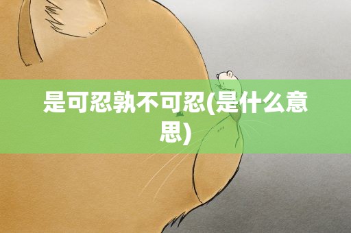 是可忍孰不可忍(是什么意思)