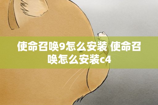 使命召唤9怎么安装 使命召唤怎么安装c4