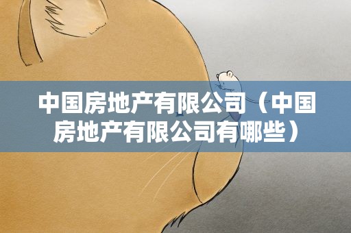 中国房地产有限公司（中国房地产有限公司有哪些）