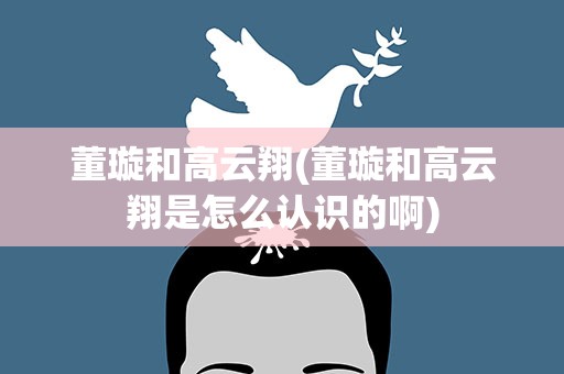 董璇和高云翔(董璇和高云翔是怎么认识的啊)