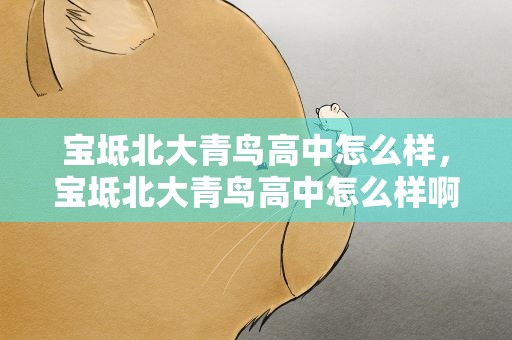 宝坻北大青鸟高中怎么样，宝坻北大青鸟高中怎么样啊