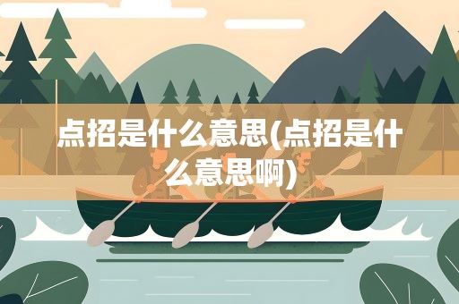 点招是什么意思(点招是什么意思啊)