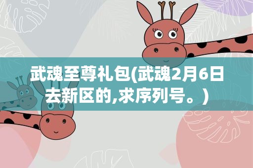 武魂至尊礼包(武魂2月6日去新区的,求序列号。)