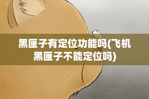 黑匣子有定位功能吗(飞机黑匣子不能定位吗)