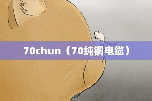 70chun（70纯铜电缆）