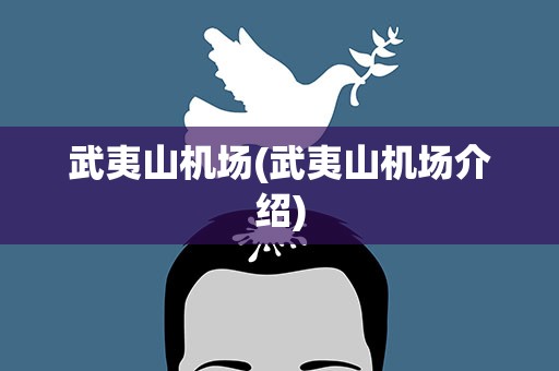 武夷山机场(武夷山机场介绍)