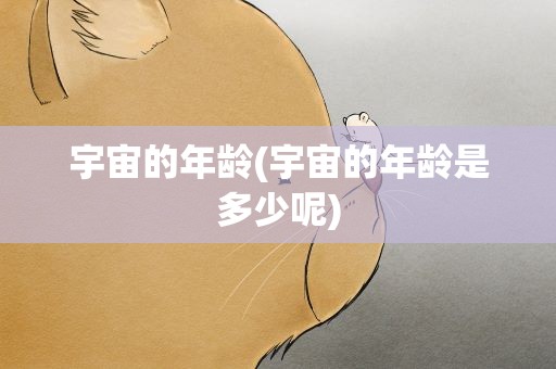 宇宙的年龄(宇宙的年龄是多少呢)