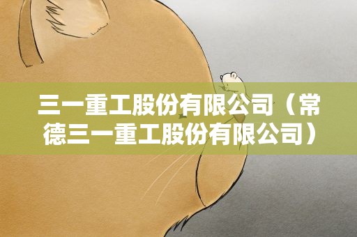 三一重工股份有限公司（常德三一重工股份有限公司）
