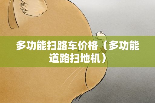 多功能扫路车价格（多功能道路扫地机）