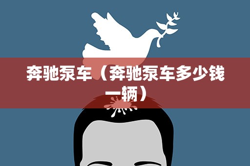 奔驰泵车（奔驰泵车多少钱一辆）