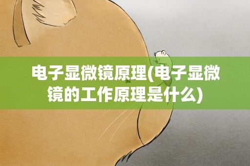 电子显微镜原理(电子显微镜的工作原理是什么)