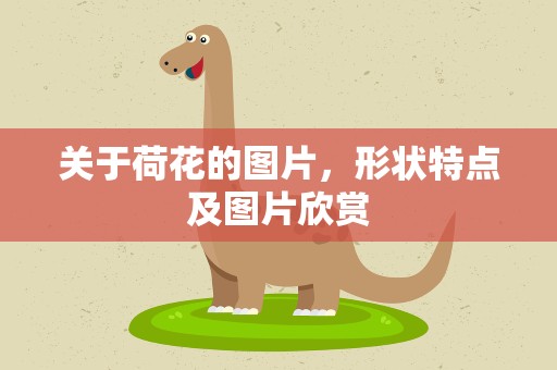 关于荷花的图片，形状特点及图片欣赏