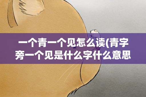 一个青一个见怎么读(青字旁一个见是什么字什么意思怎么读)