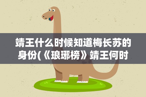 靖王什么时候知道梅长苏的身份(《琅琊榜》靖王何时知道梅长苏身份)