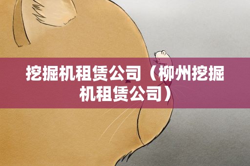 挖掘机租赁公司（柳州挖掘机租赁公司）
