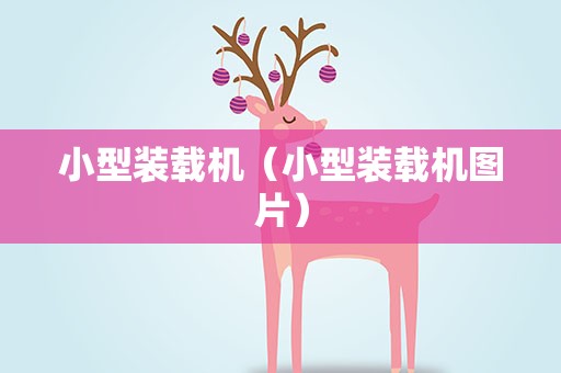小型装载机（小型装载机图片）
